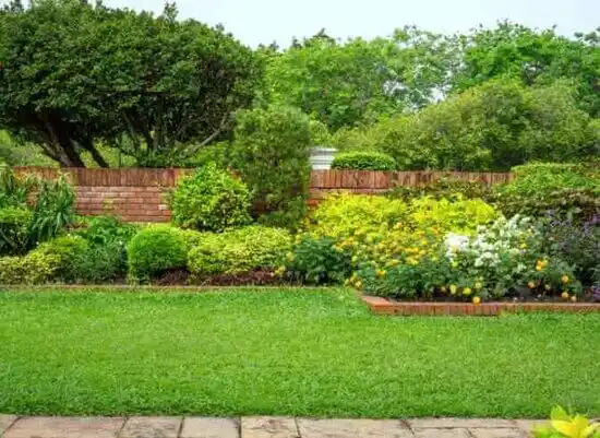 landscaping services Prospect Park